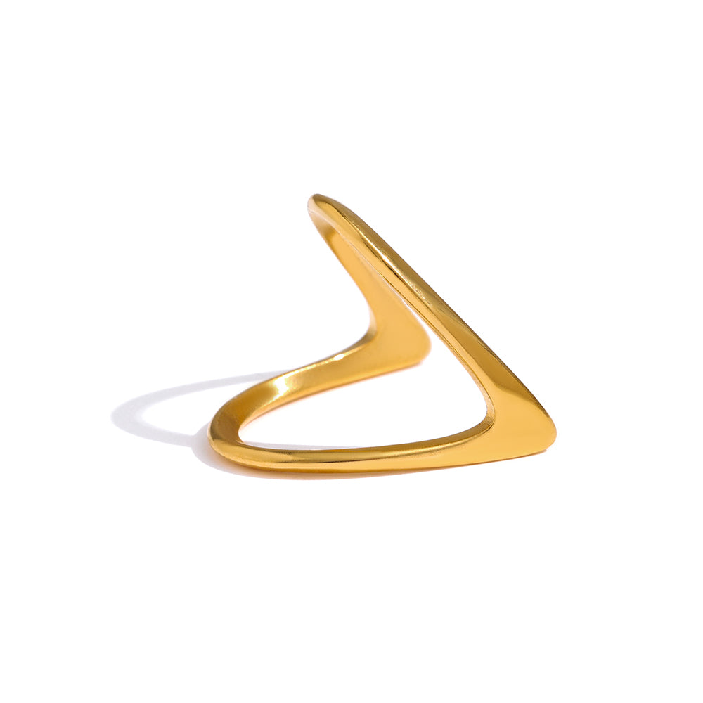 Paragona Geometric Ring