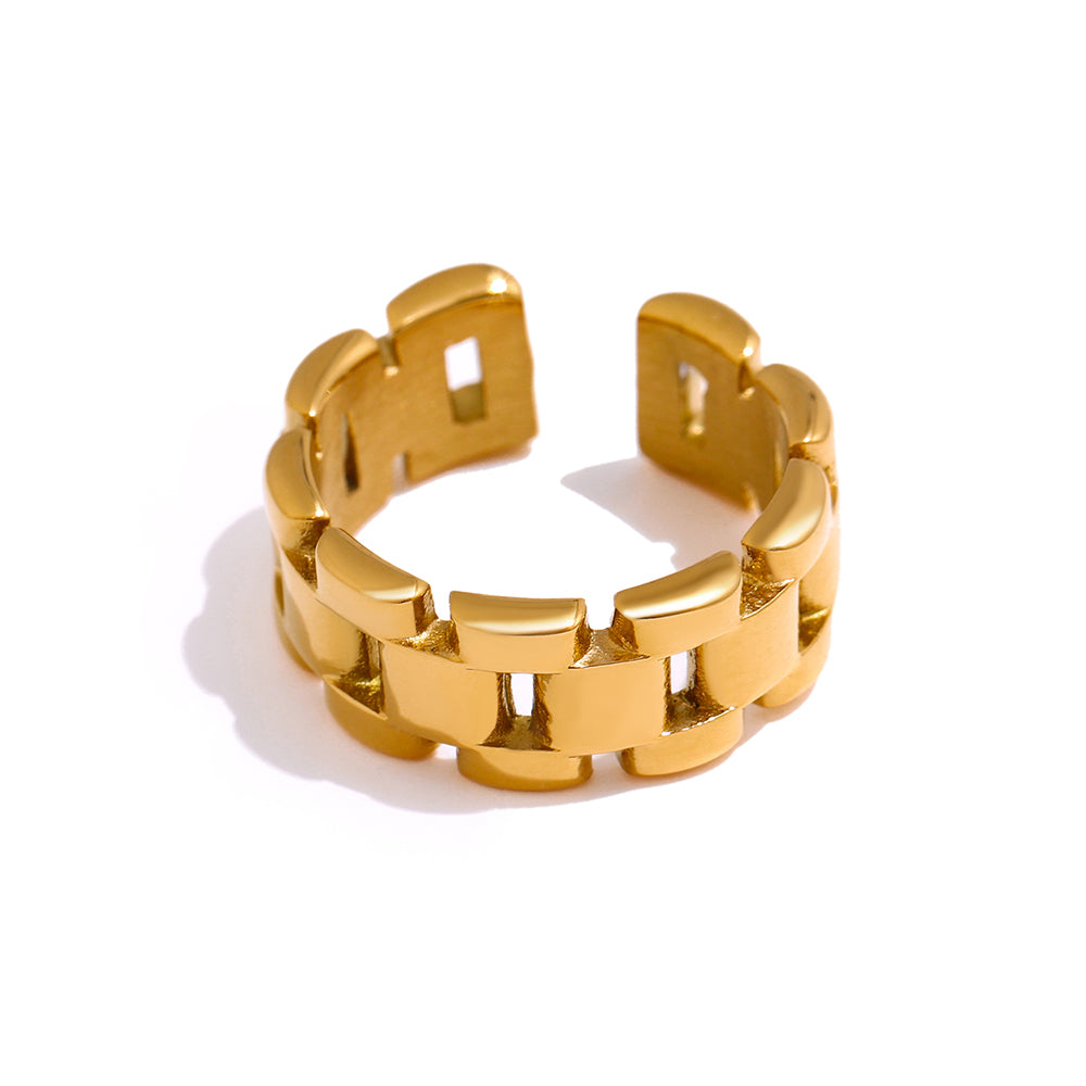 Chain links Chain Ring